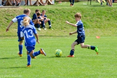 Fussball-8833